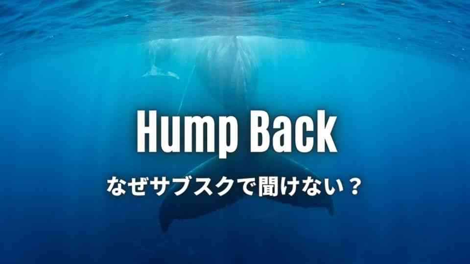 3人組ガールズバンド Hump Back のおすすめ人気曲6選 初心者向け オトニスタ