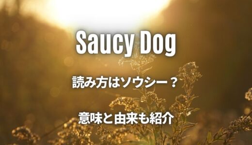 【Saucy Dog】なぜサウシーと読む？スラング的な意味と由来をご紹介！